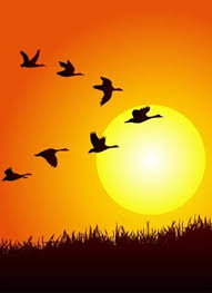 Sunset Birds Flying In The Sky Painting Winged Parable Sow The Heart One Story At A Time In 2020 Bird Artwork Bird Drawings Art