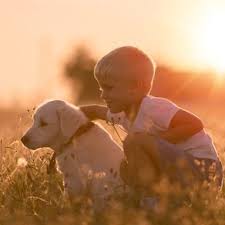 Check spelling or type a new query. Sunset Pet Hospital Veterinarian In Hialeah Fl Us