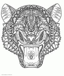 Printable tiger coloring pages for adults. Tiger Coloring Page For Adults Coloring Pages Printable Com