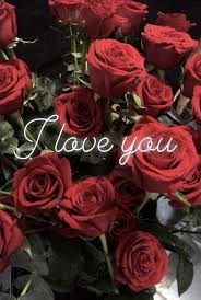 Sign Of Love Beautiful Roses Beautiful Flowers Rose Wallpaper