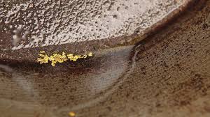 Fill your gold pan 1/2 to 2/3 full of gold bearing material (if it's not in there to begin with, it won't magically appear through panning). How To Prospect For Gold In England Bbc News