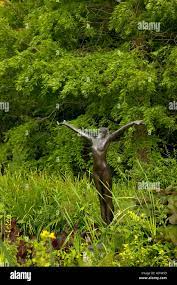 Estatua del jardín de mujeres desnudas con los brazos extendidos al Borde  Hill Gardens West Sussex Fotografía de stock 