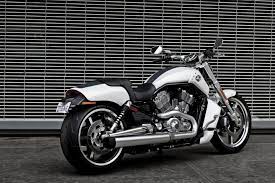 Harley Davidson V Rod Muscle White The Sport Bike I Am Buying After I Have My Hous Harley Davidson V Rod Harley Davidson Motorcycles Classic Harley Davidson