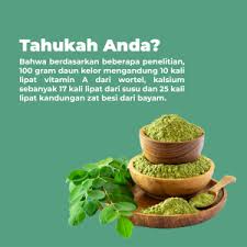 Paket Reseller Produk Digital Essenzo Bonus Gratis Member Abdi Akademi Bisnis Digital Bisnis Indonesia Di 2020 Nigella Daging Domba Lemak Jenuh