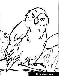 Download or print the image below. Cute Owl Free Print And Color Online