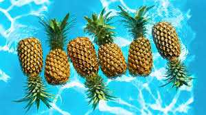 Given that everyone smells and tastes a bit different, is there anything you can (safely) do to make yourself more.appetizing? Do Pineapples Influence Vaginal Tastes And Smell Suruka Nature S Gift