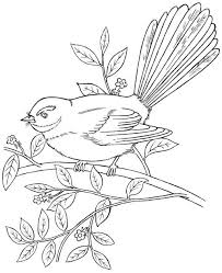 New Zealand Native Birds Pictures Black And White Google Search Bird Coloring Pages Animal Coloring Pages Simple Bird Drawing