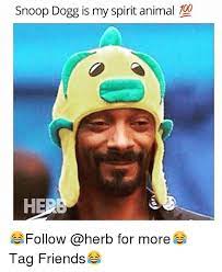 Pin On Lmfaolmaorotfllolhaha