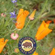 Lancaster you've likely seen photos of the vibrant orange poppy fields flooding your instagram feed. Antelope Valley California Poppy Reserve Poppyreserve Twitter