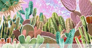 Pincushion cacti are found in shades of pink, orange, lavender, yellow, pink and white. This Is Why Cactus Water Is Your Skin S New Bff Blog Huda Beauty
