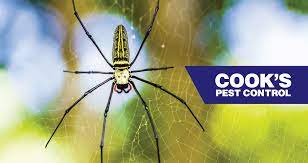 An accurate pest control device is right around the corner with our research and reviews of. Cooks S Pest Blog Latest Posts