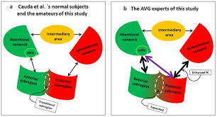 When you click on the first tile of a turn and you have exposed a matching tile in a previous turn, a. Enhanced Functional Connectivity And Increased Gray Matter Volume Of Insula Related To Action Video Game Playing Scientific Reports