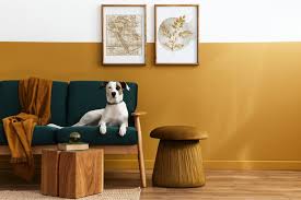 Via the lennox orange living room. Why Settle For One Color Two Tone Paint Ideas Diy True Value Projects True Value