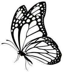 Butterfly Png 999 Butterfly Clipart Black And White Free Download Cloud Clipart Butterfly Clip Art Butterfly Black And White Butterfly Drawing