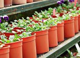 We did not find results for: Misra Nursery Darjeeling Ho Plant Nurseries In Darjeeling Justdial