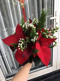 We did not find results for: Poinsettia Wedding Bouquet Christmas Wedding Bouquets Christmas Wedding Flowers Winter Wedding Bouquet