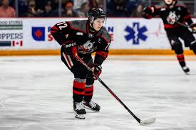 BLAKE BARNES BURIES IT‼️ #DogCountry | #OHLPlayoffs