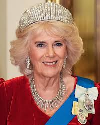 In a year full of truly remarkable royal jewelry moments, this was my  favorite of all: the reappearance of Queen Alexandra's Kokoshnik Tiara,  which had been tucked away in the royal vaults