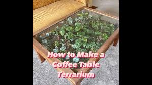 Gather moss, ferns, and flowers to create a lush focal point, or add a flickering pillar candle for a hint of ambiance. How To Make A Coffee Table Terrarium Youtube