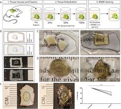نتیجه جستجوی لغت [cleared] در گوگل
