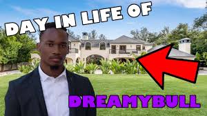 The Day in Life of Dreamybull (TV Series 2023– ) - IMDb