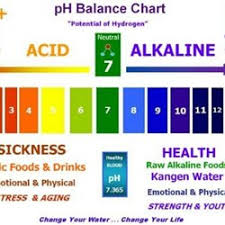 List Of Alkaline Foods The Ph Balanced Diet Pearltrees