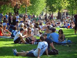 Park staff were at trinity bellwoods park on thursday painting circles on the grass. Trinity Bellwoods Park Introduces Bottle Service The Beaverton