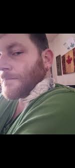 My son got 3 budgies for his birthday he loves them my son loves to whistle  so he whistles to the budgies but not sure if females or males can you tell