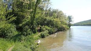 Regarding the humidity, temperatures are cold for about half the year and are otherwise pleasant with the possibility of rain or snow most of the year. Mountain Bike Trails Near Rocky Gap State Park