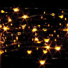 Pin On The Wonderful Wedding Of Erin And Van