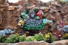 We did not find results for: Rainforest Cafe 2021 Lunch Dinner Menu And Prices Allears Net