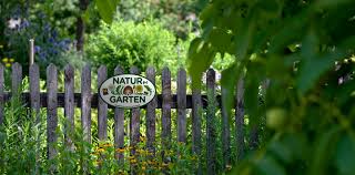 Eidechsen Im Garten Fordern Natur Im Garten Blog