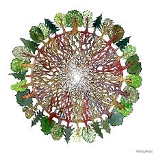 The Wood Wide Web Www Swiss Bio Farmer Roots Illustration Roots Drawing Tree