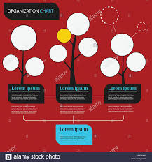 Organization Chart Infographics With Tree Vector