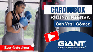 Entrenamiento CARDIO BOX Con Yesli Gomez y COMO SUDAR AL MAXIMO ! - YouTube