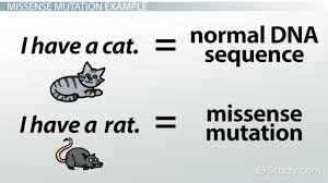 Look over your results, and review the questions that. Missense Mutation Definition Example Video Lesson Transcript Study Com
