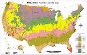 Garden areas for visitors to roam include japanese highlights are southern california native vegetation, a rare fruit grove, an 11,000 square foot organic vegetable garden, the channel islands. Usda Zone Map For Los Angeles Gardeners Lawnstarter