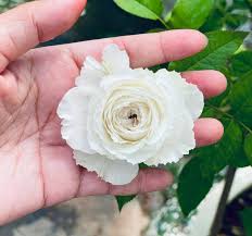 ปิดค่ะ...