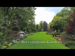 Now i manage foggy bottom and other gardens at bressingham in norfolk, england. Foggy Bottom Yesterday Today And Tomorrow Youtube