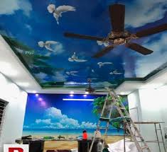 Therefore, we have addressed your first concern of durability. 3d Wallpapers Ceiling Flooring In Rawalpindi Clasf Home And Garden