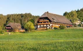 Weberhof Urlaub Auf Dem Bauernhof In Hinterzarten Am Titisee Schwarzwald Schwarzwald Urlaub Bauernhof Schwarzwald Ferienwohnung Schwarzwald