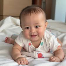 cutin2727-LoRA-Rice SALES-Shakker