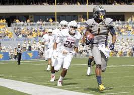 Owls Swahili Bundis Yoruba Owiwis Hausa Mujiyas Igbo Ikwiikwiis Shona Namazizis Football Wvu Sports Mountaineers Football