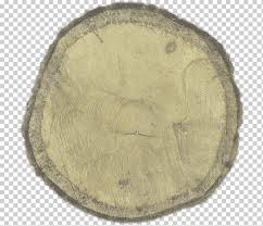Throwing 3 magic stones with 1 bonus action. Tree Stump Lurker Wood Stump Cactaceae Wood Internet Forum Png Klipartz