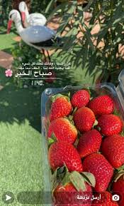 Pin By Syeℓma ۦ On صورة من سناب شات In 2021 Food Fruit Strawberry