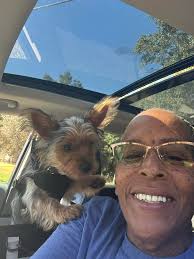 Eat up, it's all y0urs, eat as much as you want!🤒🍜😂😅🦞