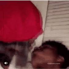 See more ideas about black couples, cute black couples, black couples goals. Best Couple Freaky Gifs Gfycat