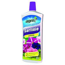 Image result for foto surfínie
