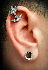Pin On Jewelry Piercings
