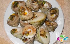 Kết quả hình ảnh cho ốc biển